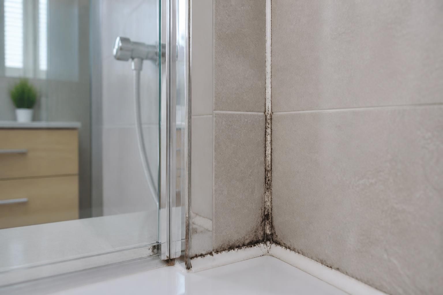 découvrez pourquoi les joints de votre douche noircissent et apprenez des méthodes efficaces pour les nettoyer et prévenir la formation de moisissure afin de garder votre salle de bain propre et saine.