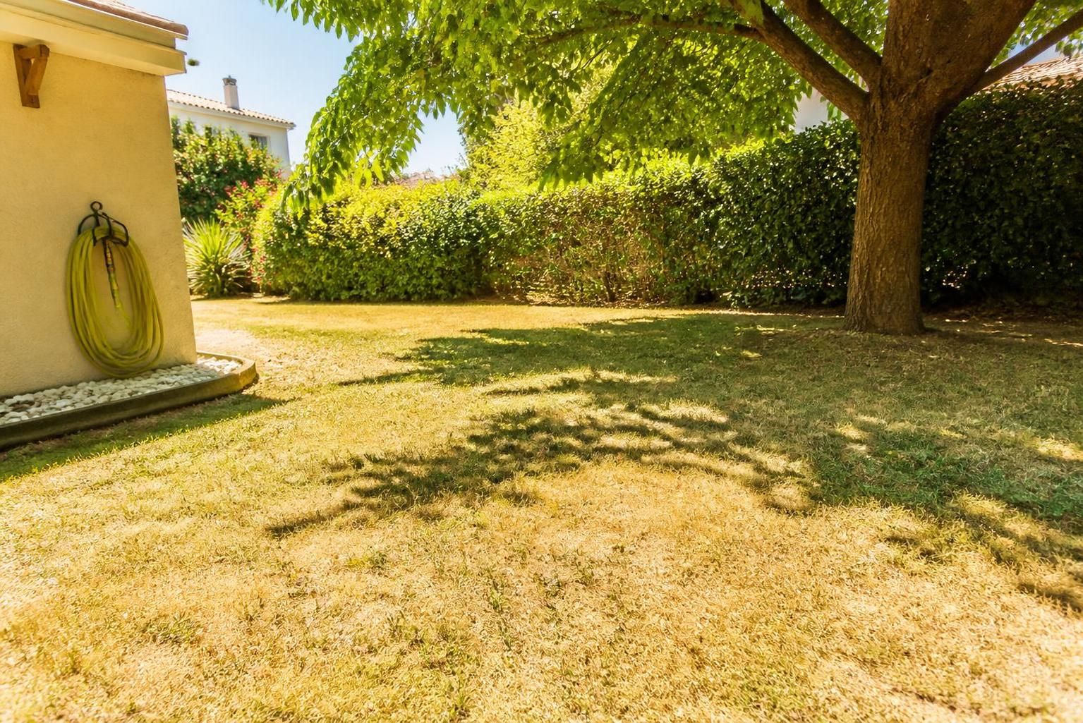 Pelouse jaunit en pleine canicule : astuces incontournables à adopter et erreurs à éviter 2 découvrez nos astuces incontournables pour sauver votre pelouse qui jaunit en pleine canicule, ainsi que les erreurs à éviter pour garder un gazon vert et en bonne santé tout l'été.